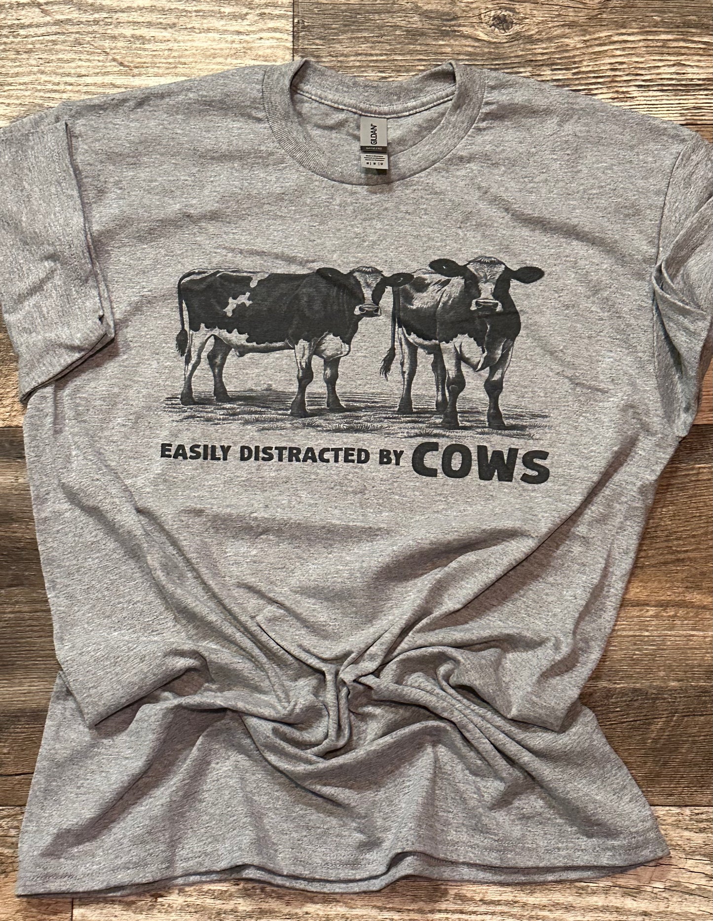 Easily Distracted by Cows